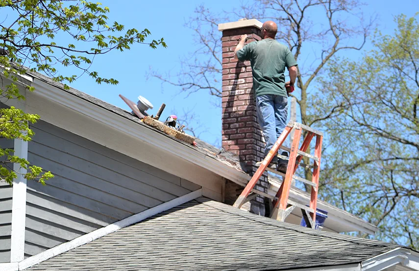 Chimney & Fireplace Inspections Services in Garden City, MI